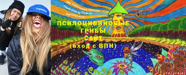 амф Аркадак